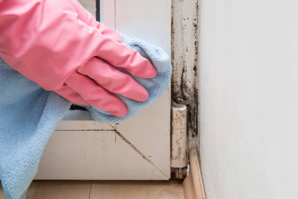 Best Residential Mold Remediation in Summerville, GA